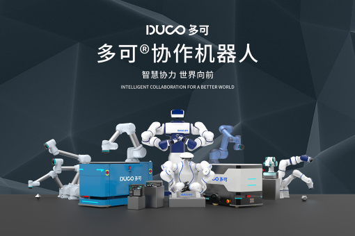 2021 年中国工业机器人市场回顾