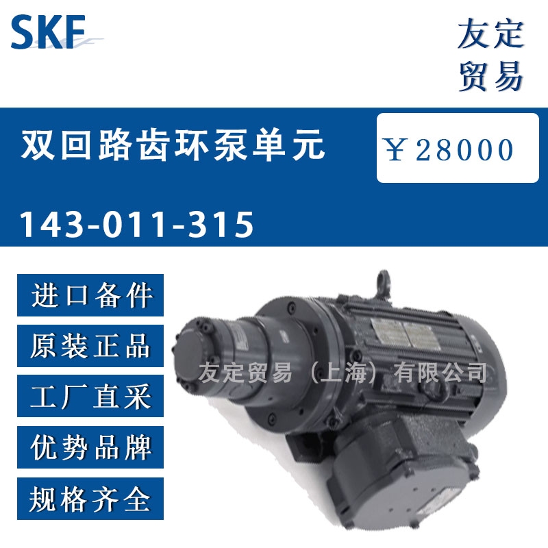 瑞典SKF  143-011-315 双回路齿环泵单元