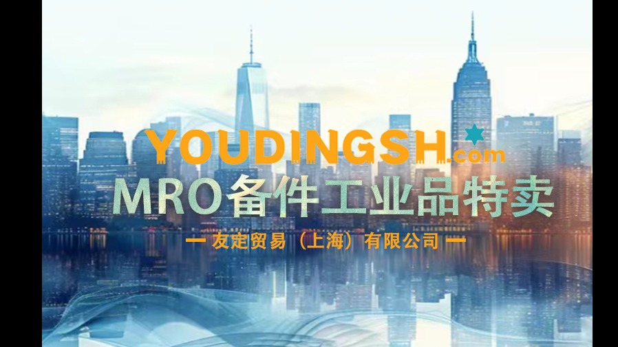 德国GRIEB  柱塞完全组
