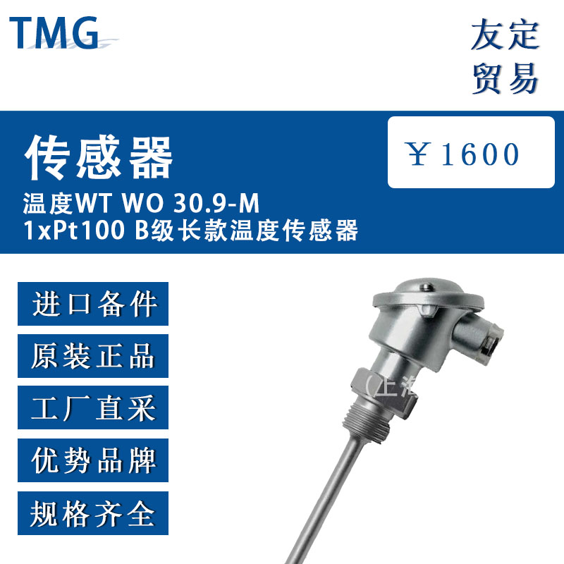 德国TMG   WT WO 30.9-M1xPt100 B级长款温度传感器